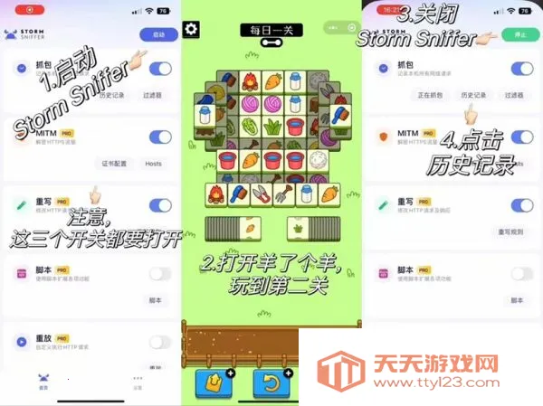 stormsnifferץ������