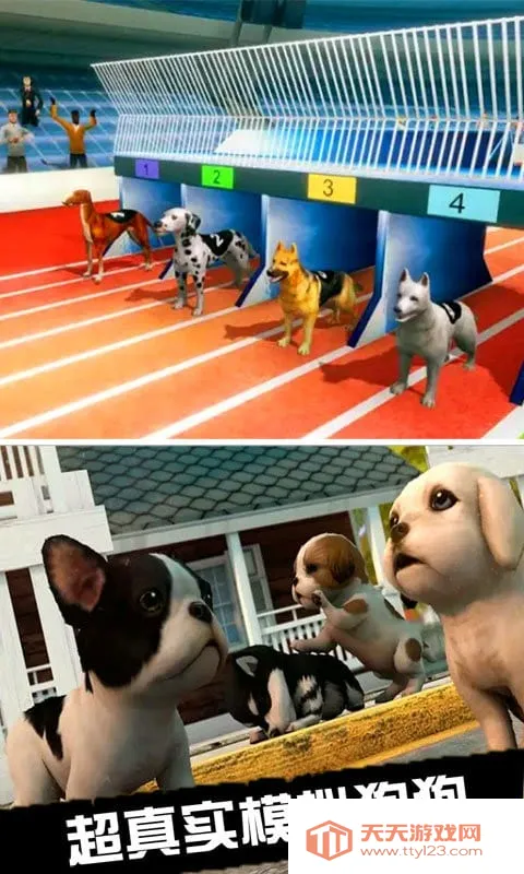 我的萌宠世界2026官方正版 我的萌宠世界2026官方正版