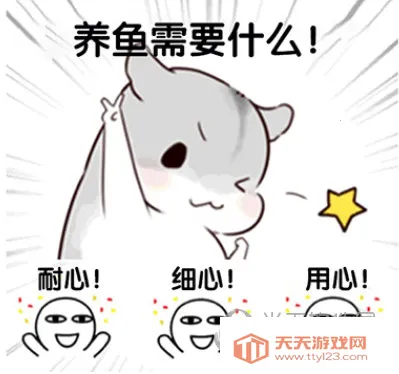 ��������2026�ٷ�����