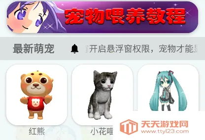 �����ȳ�2026���°汾