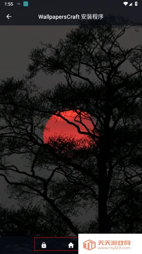 wallcraft��������