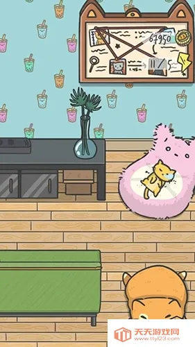 ���ص�è����̽�簲׿���ֻ���