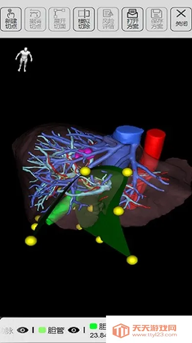 莲影2026官方最新版本 莲影2026官方最新版本
