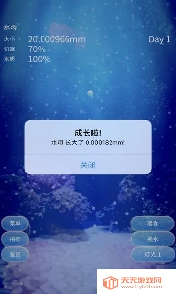 ����ˮĸ������