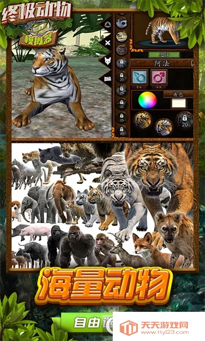 �ռ�����ģ����2026���°汾v1.1 �ٷ������ͼ3