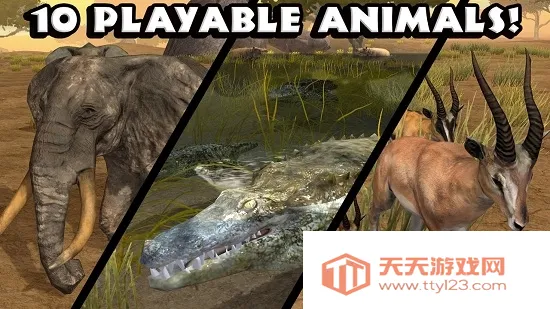 �ռ�����ģ����2026���°汾