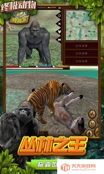 �ռ�����ģ����2026���°汾