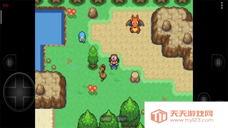 �ڴ���������Ⱥ����׿���ֻ���