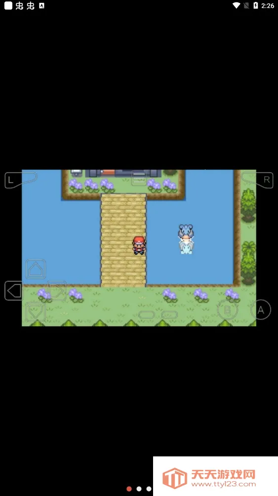 口袋妖怪宿命的轮回 口袋妖怪宿命的轮回