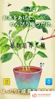 ֲ��������ʦ