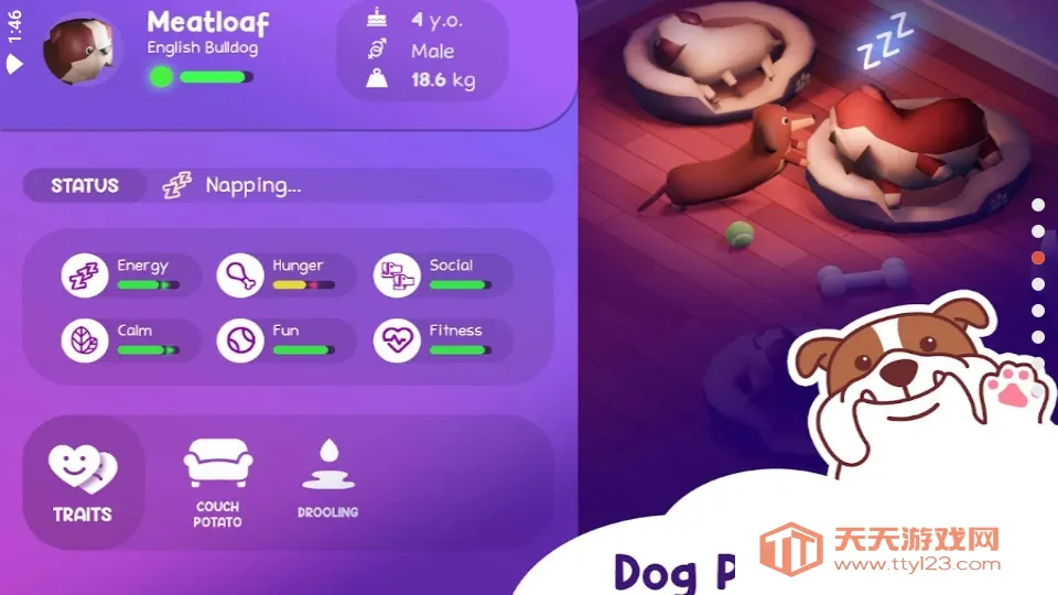 狗狗大亨酒店 狗狗大亨酒店