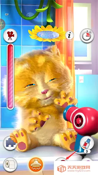 �ҵĽ��è��׿���ֻ���