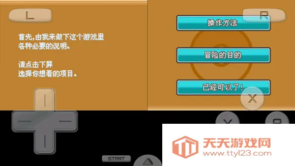 �ڴ����ֽ�2026�ٷ�����