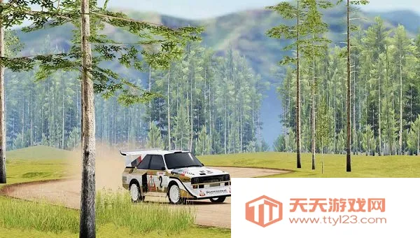 carx拉力赛车v26032 安卓版截图2