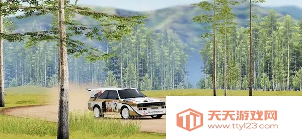 carx拉力赛车v26032 安卓版截图4