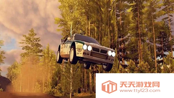 carx拉力赛车v26032 安卓版截图3