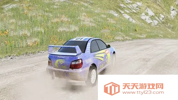 carx拉力赛车v26032 安卓版截图1