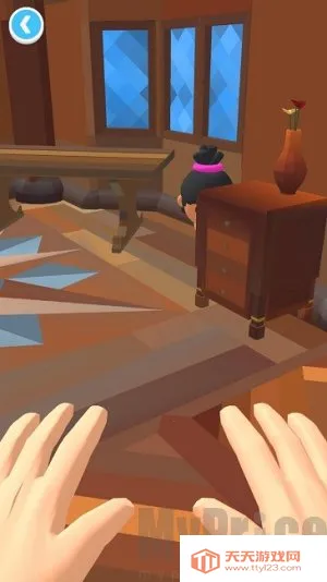 ����С����2026���°汾