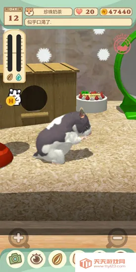 我的仓鼠2026官方最新版本 我的仓鼠2026官方最新版本