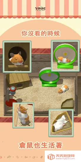 我的仓鼠2026官方最新版本v5.0.15 免费版截图3