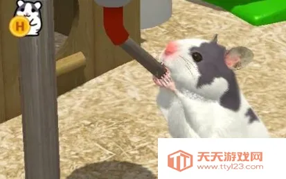 我的仓鼠2026官方最新版本 我的仓鼠2026官方最新版本