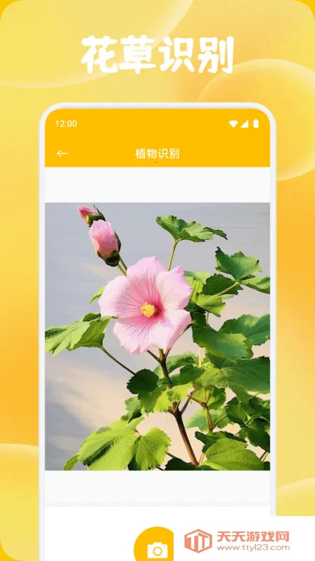 ʱС������2026�ٷ�����v1.1 ��Ѱ��ͼ1