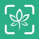 ��������ʶ�� v1.0.0 �ֻ���