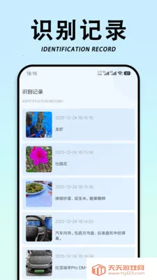 ��������ʶ��