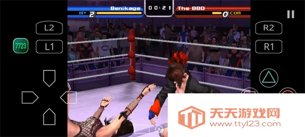 搏击玫瑰下载安装v1.5-4248 手机版截图2