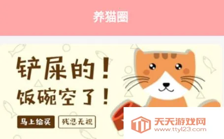 �����ҵ�è�������°�