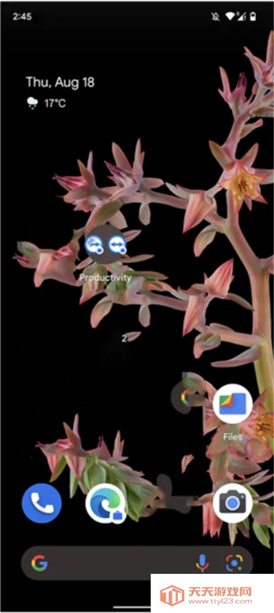 teamviewer��׿����