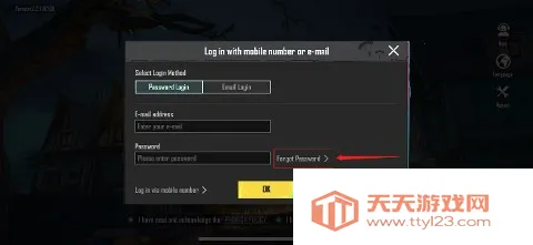 pubg国际服 pubg国际服