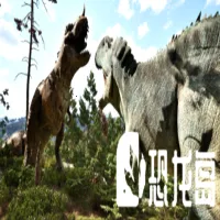 ���������ֻ������� v1.0 �ֻ���