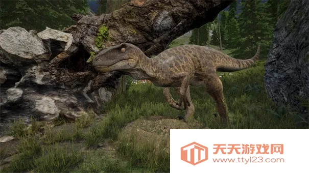 ���������ֻ�������