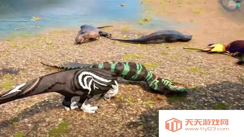 ���������ֻ�������