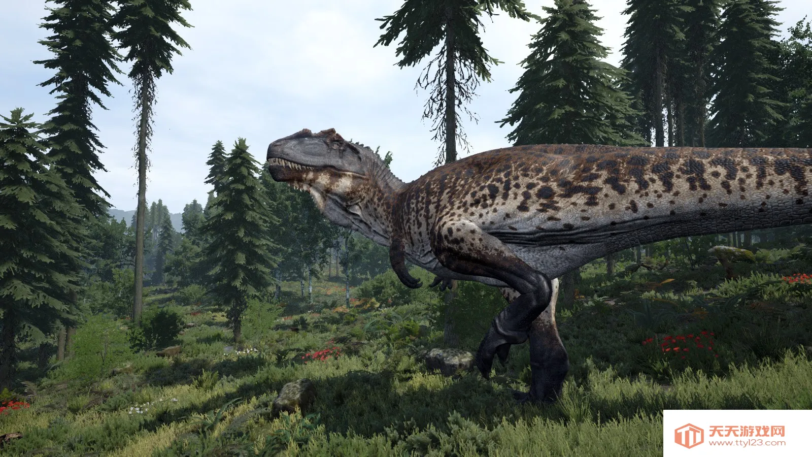 ���������ֻ�������v1.0 �ֻ����ͼ4