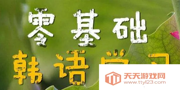 ���﷢���ʵ�2026�ٷ�����