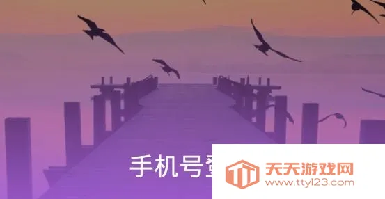 ��������ֻ���