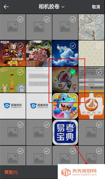 ��ѩ�����������