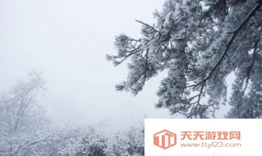 扶桑天气 扶桑天气