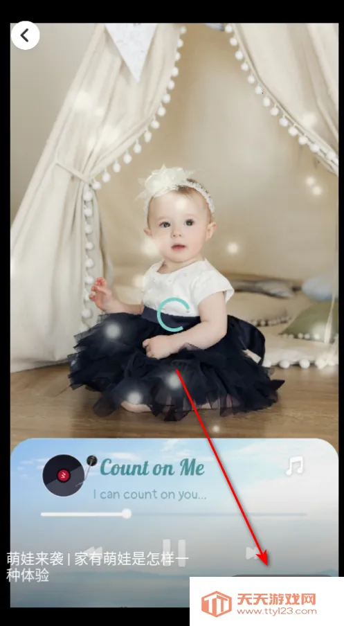 �鵥��Ƶ����2026�ٷ�����