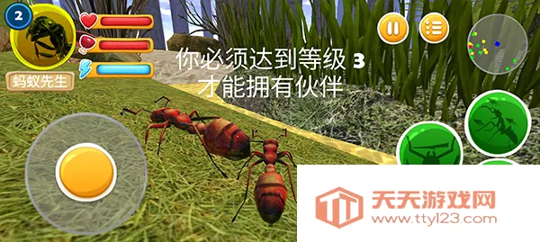 蚂蚁部落 蚂蚁部落