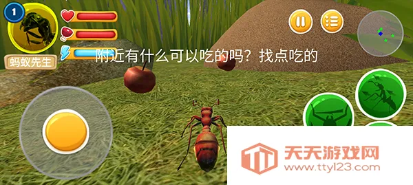 蚂蚁部落 蚂蚁部落