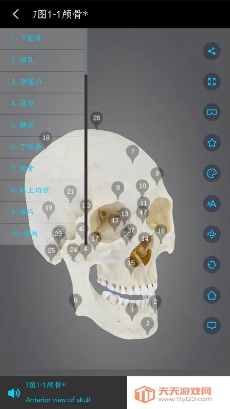 ҽά�Ƚ���2026���°汾v3.3.20 �ֻ����ͼ3