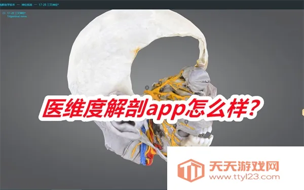 ҽά�Ƚ���2026���°汾