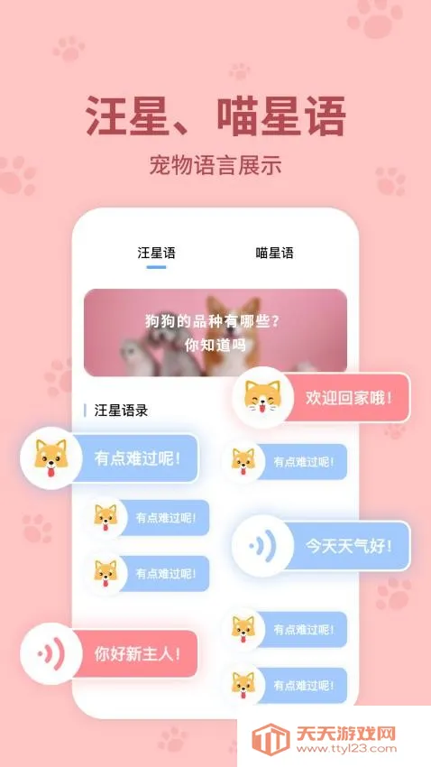 ���﷭����������Ѱ�v6.2.369 �ֻ����ͼ4