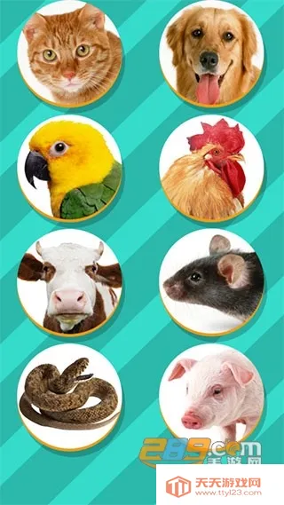 ���﷭����������Ѱ�v6.2.369 �ֻ����ͼ1