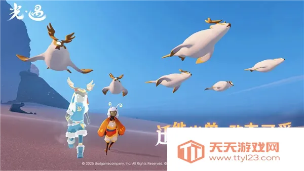 ������������2026�ٷ����°汾v0.12.5 �ֻ����ͼ2