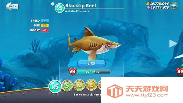 �����������ƽ��������ʯ�����������