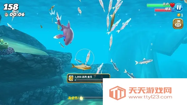 �����������ƽ��������ʯ�����������